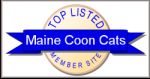 Maine Coon Cats